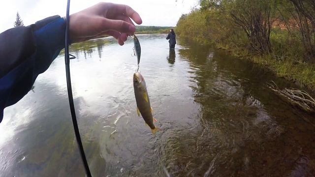 ЕЁ ПЕРВЫЙ РАЗ! Она впервые ловит ленка и уже обловила нас! Ловля ленка на спиннинг. Рыбалка в Сибир смотреть онлайн