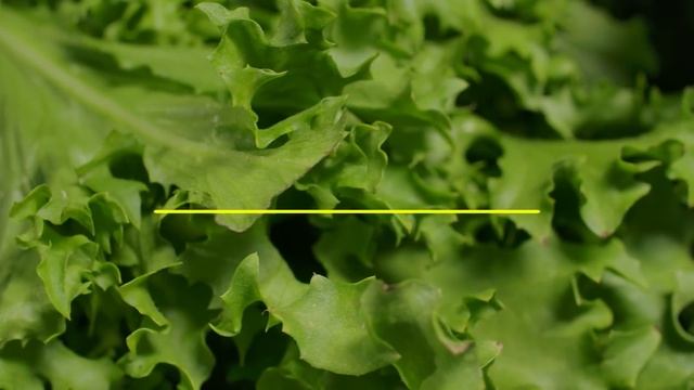 20 Продуктов, в Которых Практически 0 Калорий смотреть онлайн