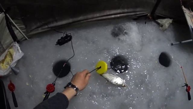 Капчагай коса ночная вобла. Разъяснения о путёвке. смотреть онлайн