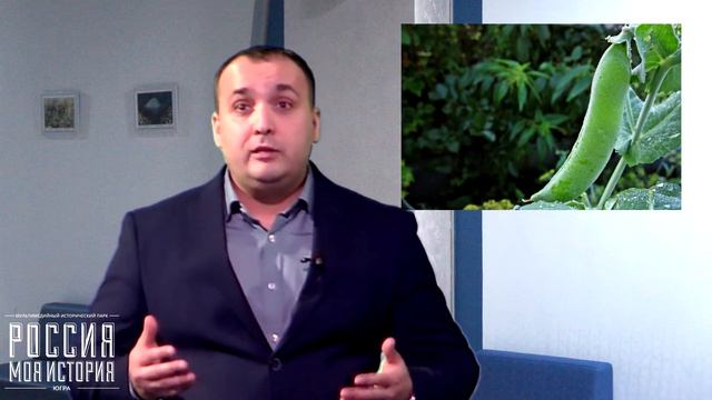 О Царе Горохе смотреть онлайн