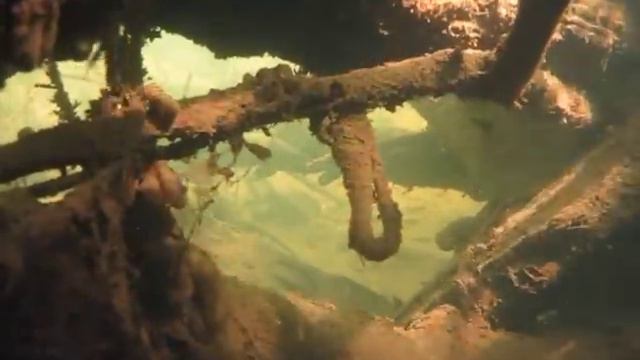 экстрим-нн Узола прозрак коряжник.MOV смотреть онлайн