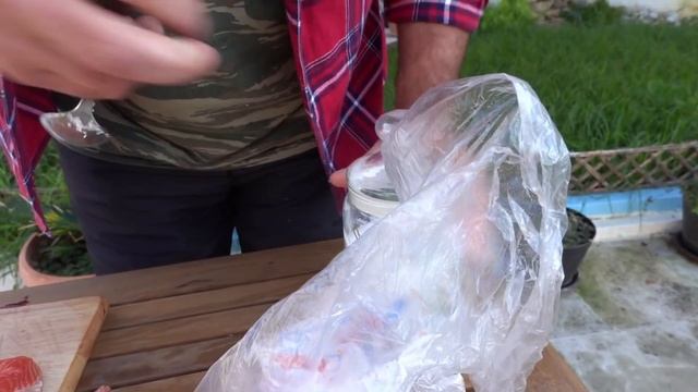 Эзотерическое обновление