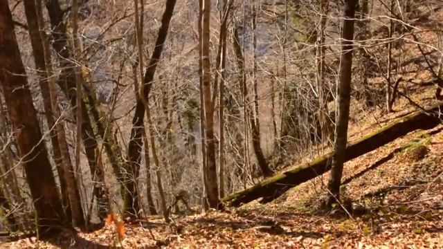 Активный отдых в Сочи зимой смотреть онлайн