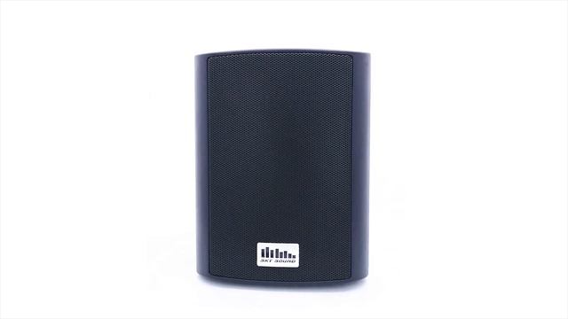 Настенная акустика SKY SOUND NS-30 Black смотреть онлайн