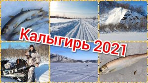 Калыгирь 2021 или как не сгинуть в тундре...