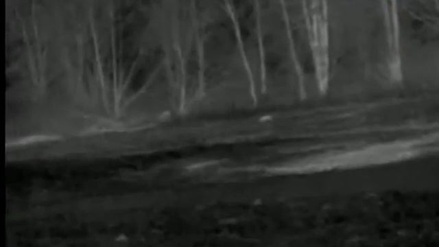 Pulsar Quantum HD 38's Thermal Imager смотреть онлайн