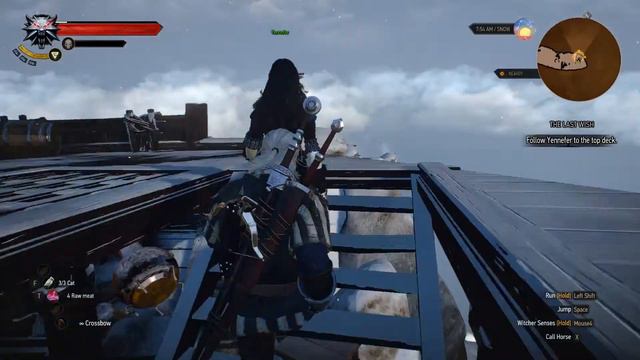 Breaking Yennefer's heart смотреть онлайн