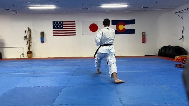 Eduard Sagilyan - 16 years old - Unsu (Kaizen International Virtual Karate Championships) смотреть онлайн