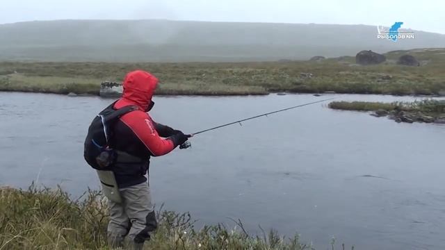 Ловля кумжи на вращающиеся блесны смотреть онлайн