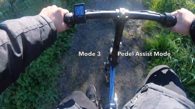 FIIDO L3 Electric Bike - 130KM Range - Powerful 350W Motor - Removable Battery - Any Good? смотреть онлайн