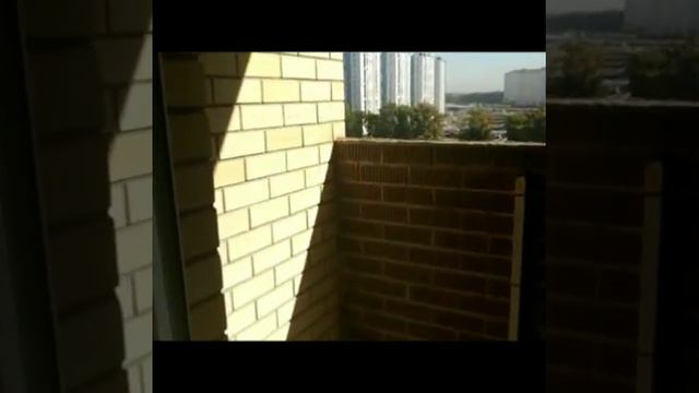 ЖК Флотилия 1-к квартира смотреть онлайн