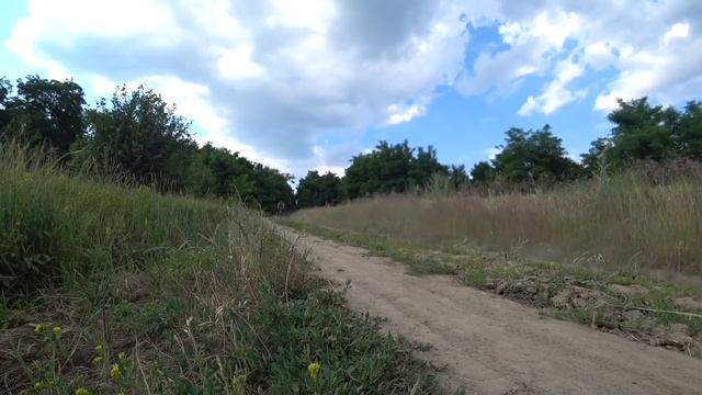 ВЛОГ: Велобайкеры в гостях или как делают крутые фото / Жизнь на даче смотреть онлайн