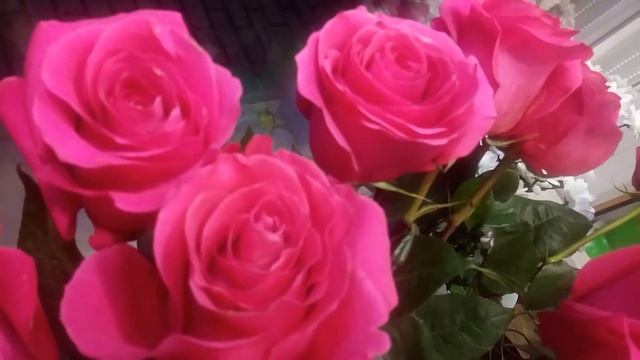 #как продлить жизнь срезанным розам смотреть онлайн