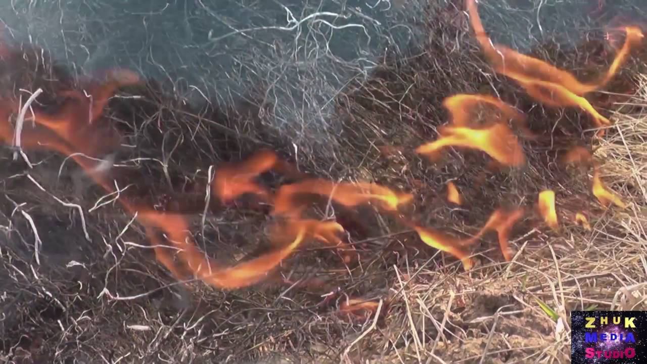 Не жги сухую траву смотреть онлайн