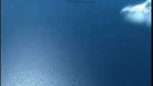 Наутилус Помпилиус - Дыхание