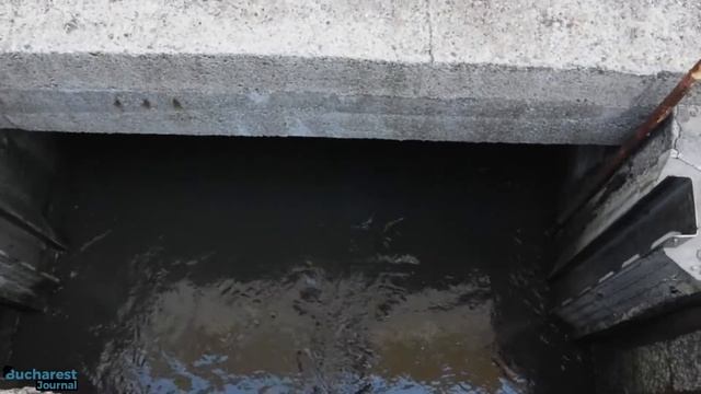 In vizita la Statia de Epurare a Apelor Uzate Glina - SEAU Glina | How it`s made смотреть онлайн