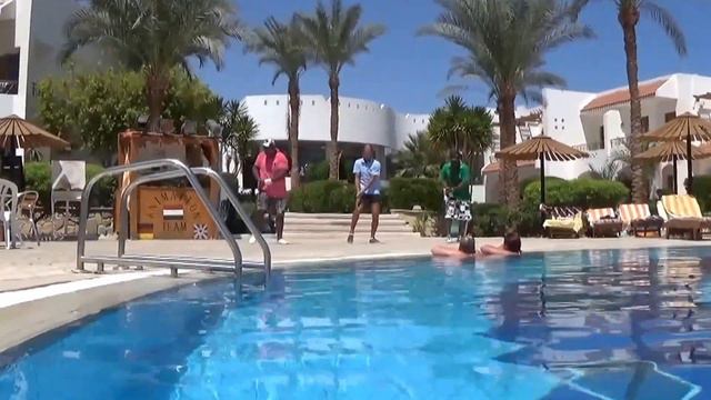 Dive Inn Resort  Haythem  Atsh   Sarge