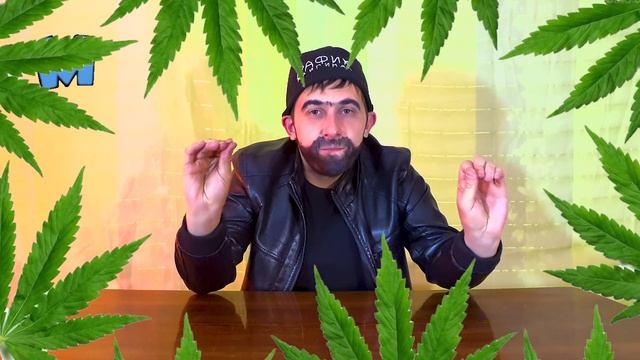 Учим алфавит с Рафиком смотреть онлайн