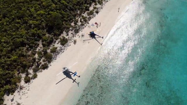 Bahamas pig beach смотреть онлайн