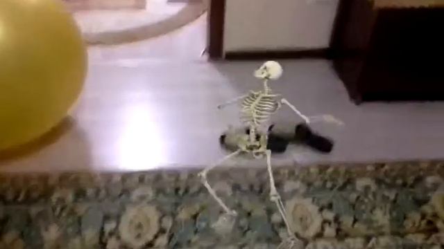 Танец сумасшедшего скилета смотреть онлайн