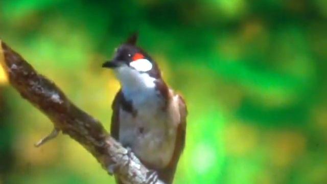 сон осознанный уже 9 или 10 в этом году смотреть онлайн