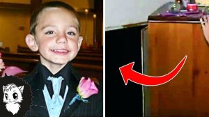 2 ГОДА ЕГО НЕ МОГЛИ НАЙТИ, НО ПОТОМ ЗАГЛЯНУЛИ В ШКАФ [Белый кот]