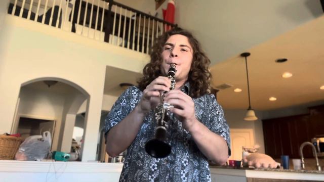 DAAYO Eb clarinet audition смотреть онлайн