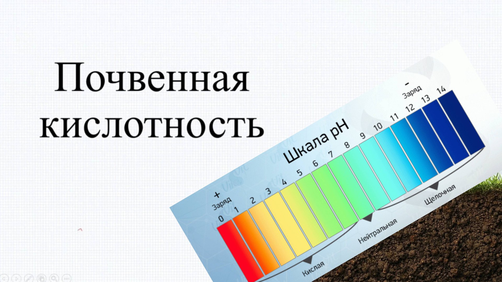 Почвенная кислотность. PH почвы