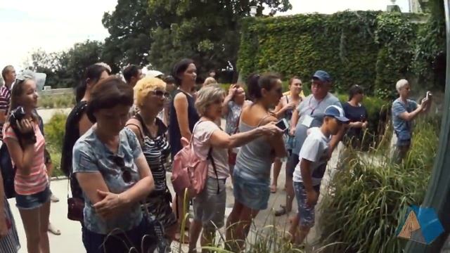 Крымский калейдоскоп (#6). Воронцовский дворец и парк / Алупка / Кореиз