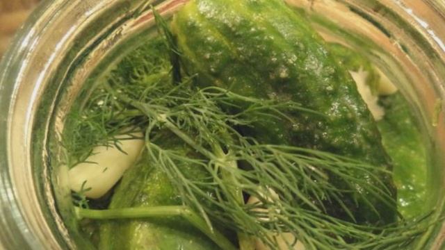 Сборник рецептов