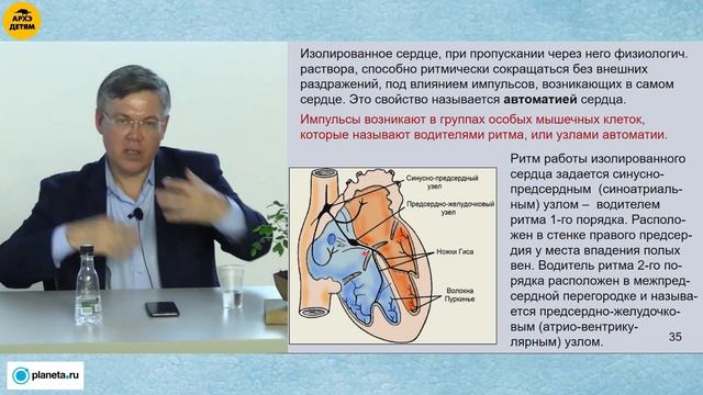 Вячеслав Дубынин: "Сердце человека" (Лекция 6) смотреть онлайн