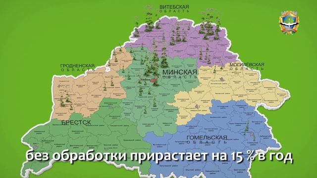 Внимание! Борщевик! смотреть онлайн