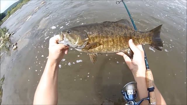 Lure Fishing #157 - River Jigging for Smallmouth Bass смотреть онлайн