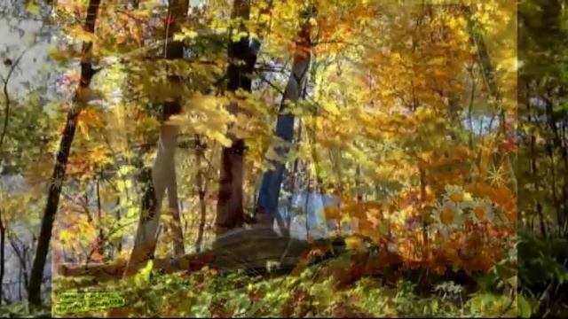 Людмила Зыкина Осенний сад.mp4 смотреть онлайн