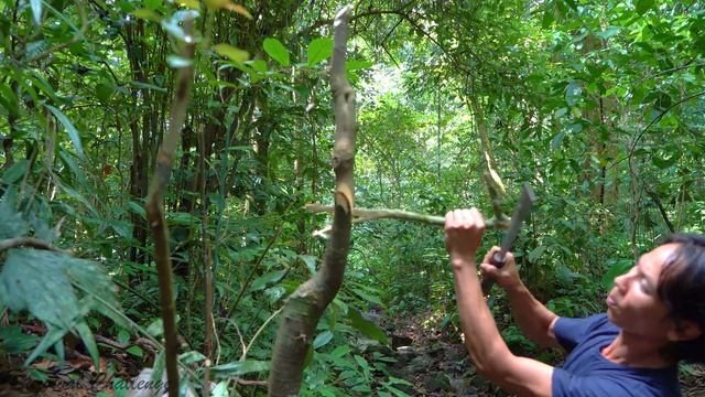 Survival Skill - Making A Simple Bird Trap In The Forest | Survival Skills 2019 смотреть онлайн