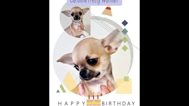 Поздравляю наших выпускников с Мини Днюшкой 🎁🎉 смотреть онлайн