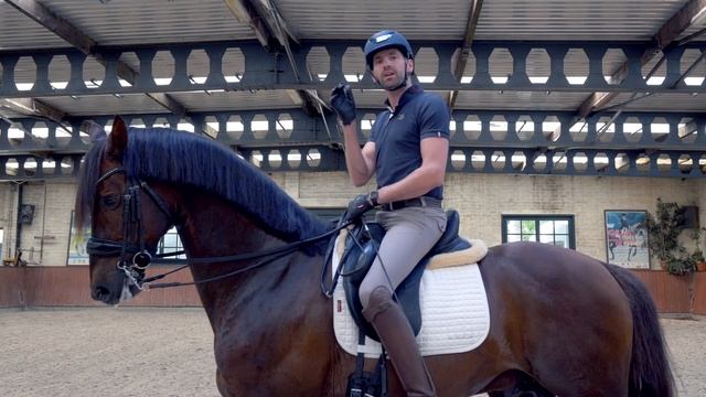 How to train Piaffe? | Begijnhoeve | How to #1 смотреть онлайн