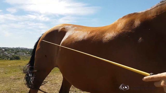 Мини урок Уступка крупа на себя смотреть онлайн
