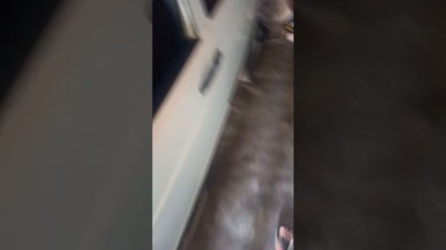 W201 W124 E190 замена масла в гуре