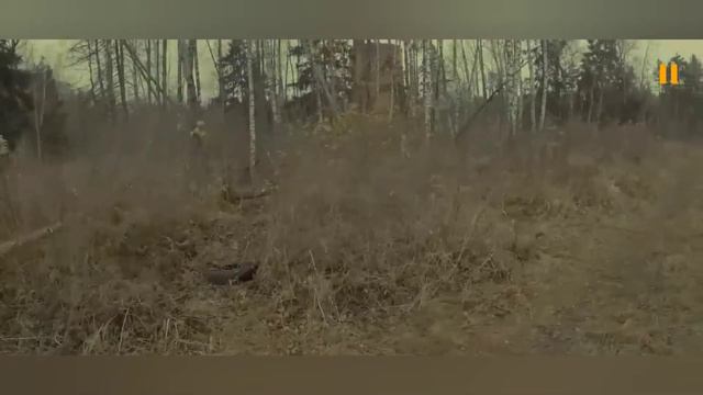 ROLEVIK смотреть онлайн