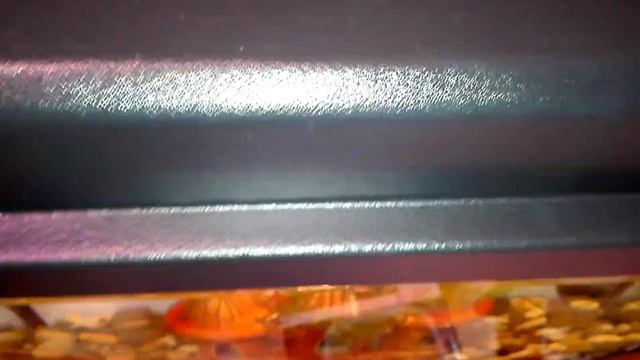 Рыбка ПЕТУШОК ПЕТЯ в новом домике смотреть онлайн