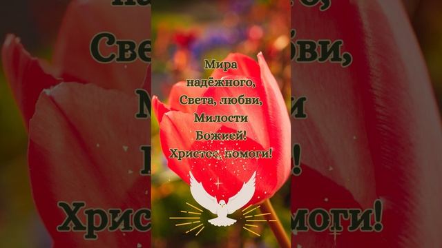 С праздником Казанской иконы Божией Матери? смотреть онлайн