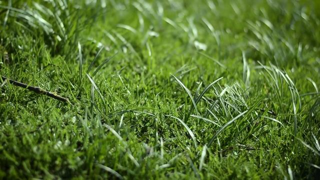 Исцеляющая Медитация с Сопровождением (26 минут) смотреть онлайн