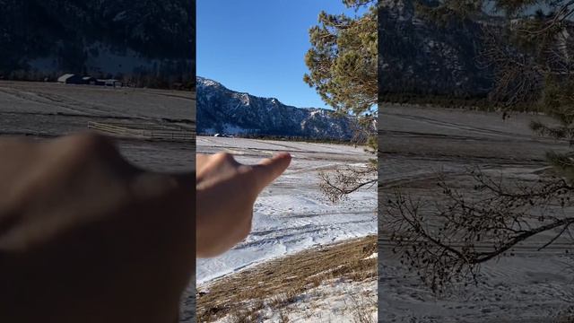 Чемал нижнее плато Барантал. Продаю участок 87 соток. смотреть онлайн