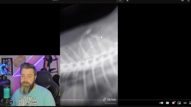 I Explain Flipper Zero videos on TikTok So You Don't Have To! ????? смотреть онлайн