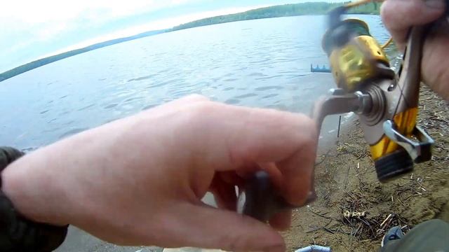 РАДИ ТАКИХ ПОКЛЁВОК СТОИЛО СЮДА ЕХАТЬ!!! Рыбалка на фидер на закате. Рыбалка 2020. Отличный клев! смотреть онлайн