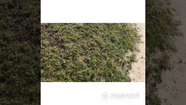 Нашли Георгиевский крест