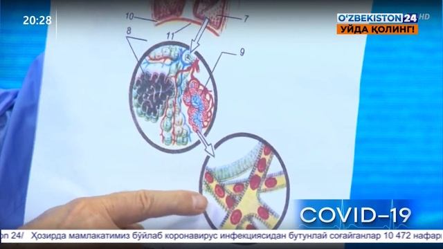 Студия 24 | Хайрулла Мустафоев - Тиббиёт фанлари доктори, профессор билан суҳбат смотреть онлайн