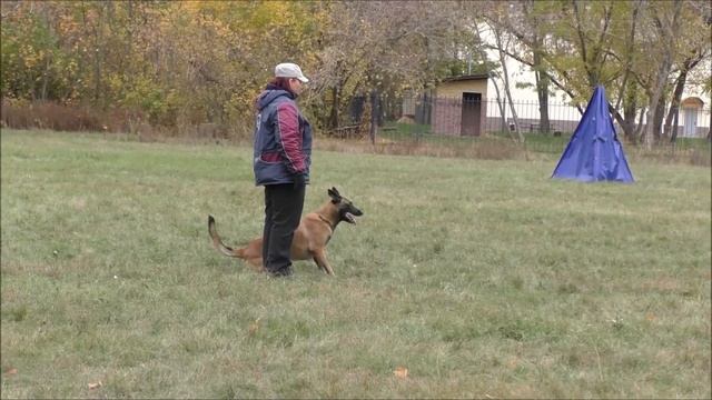 Еранга, IGP-2, С- 93