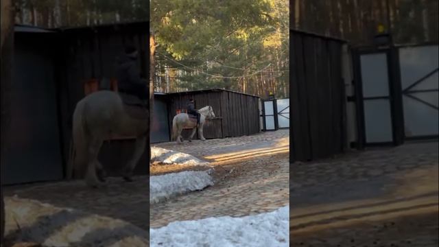 Объезжаем коня смотреть онлайн